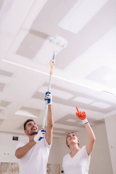Best Mold Removal for HVAC Installations  in Victor, ID
