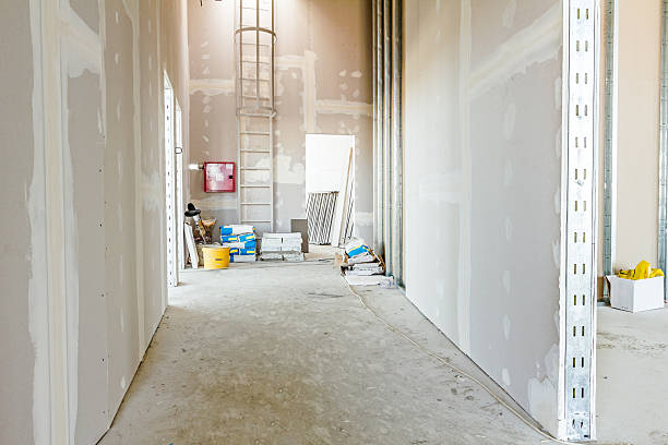 Best Mold Prevention Services  in Victor, ID